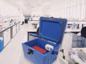 Real-Time Sample Monitoring for Pathology & Healthcare - BinaryMed
